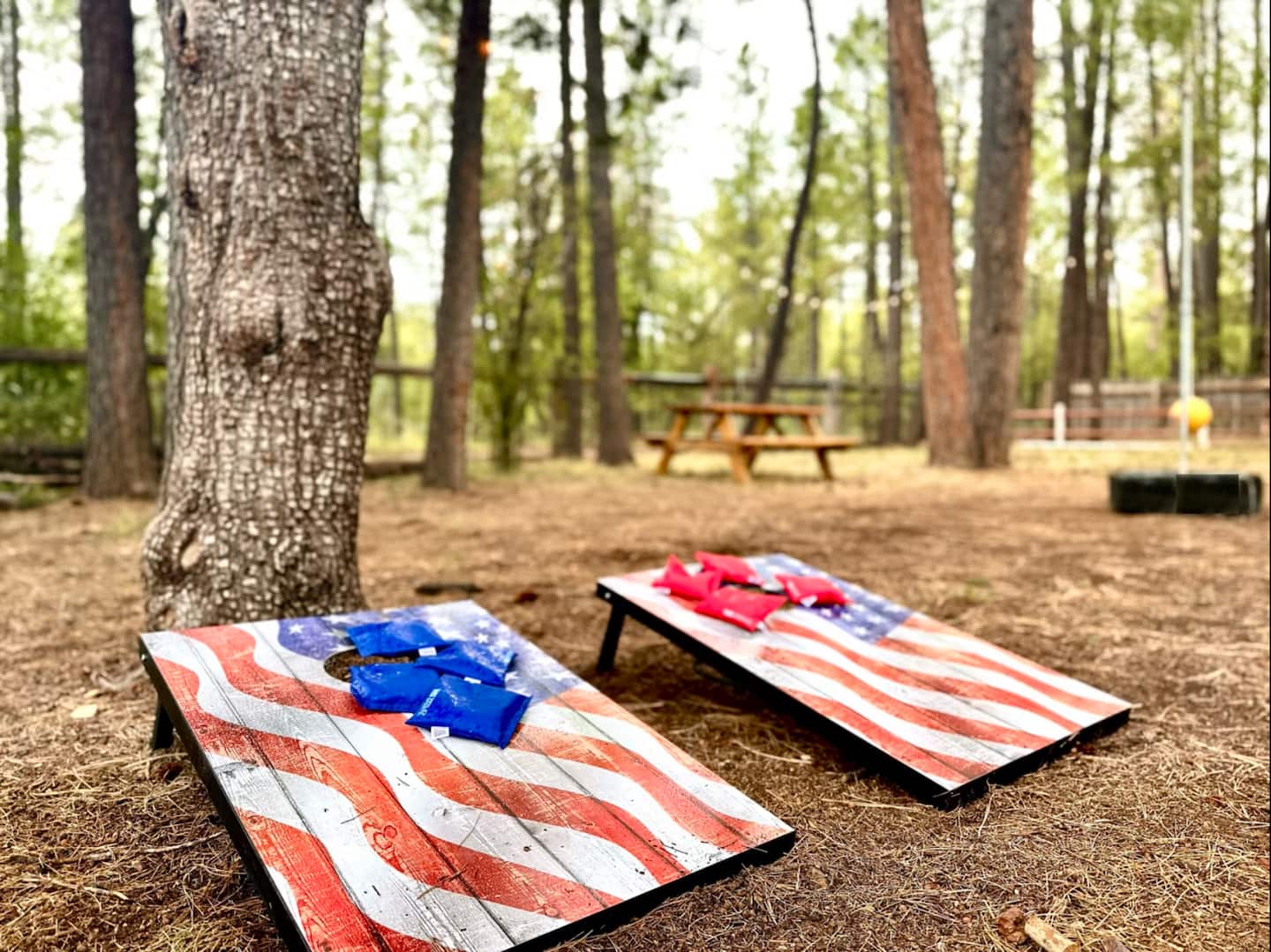 Mohave Cabin with Treehouse photo 8