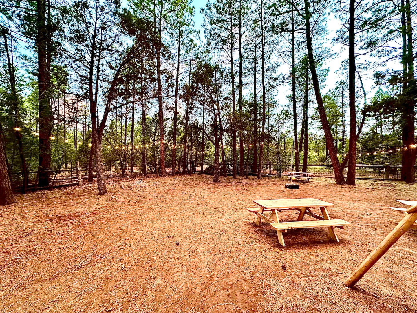 Mohave Cabin with Treehouse photo 16