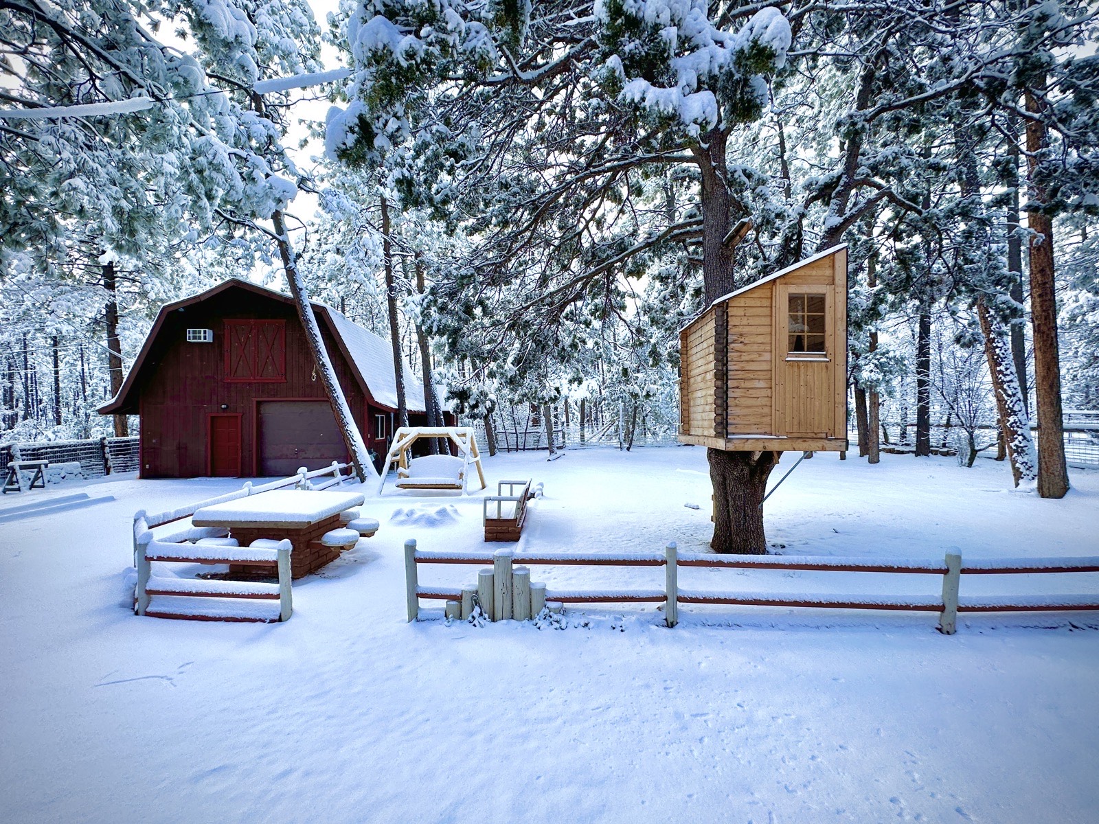 Snow-covered barn and treehouse at Mohave Cabin in winter