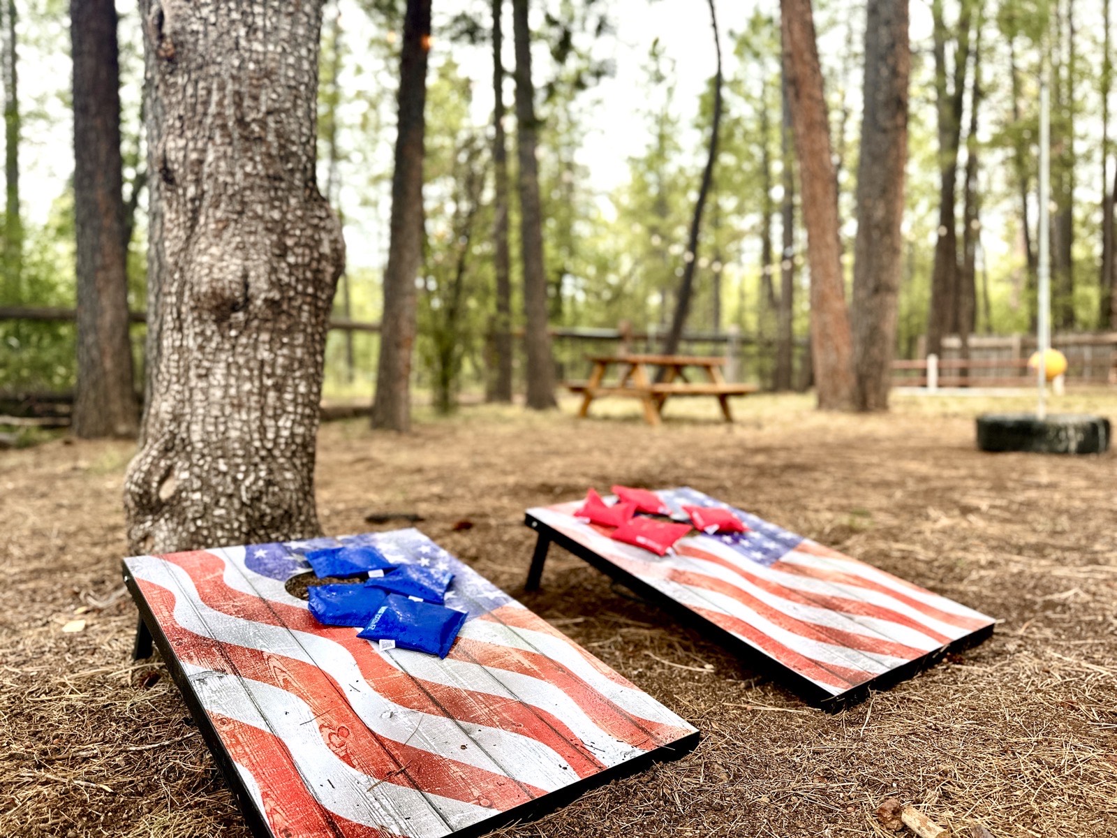 Cornhole boards in the yard at Mohave Cabin