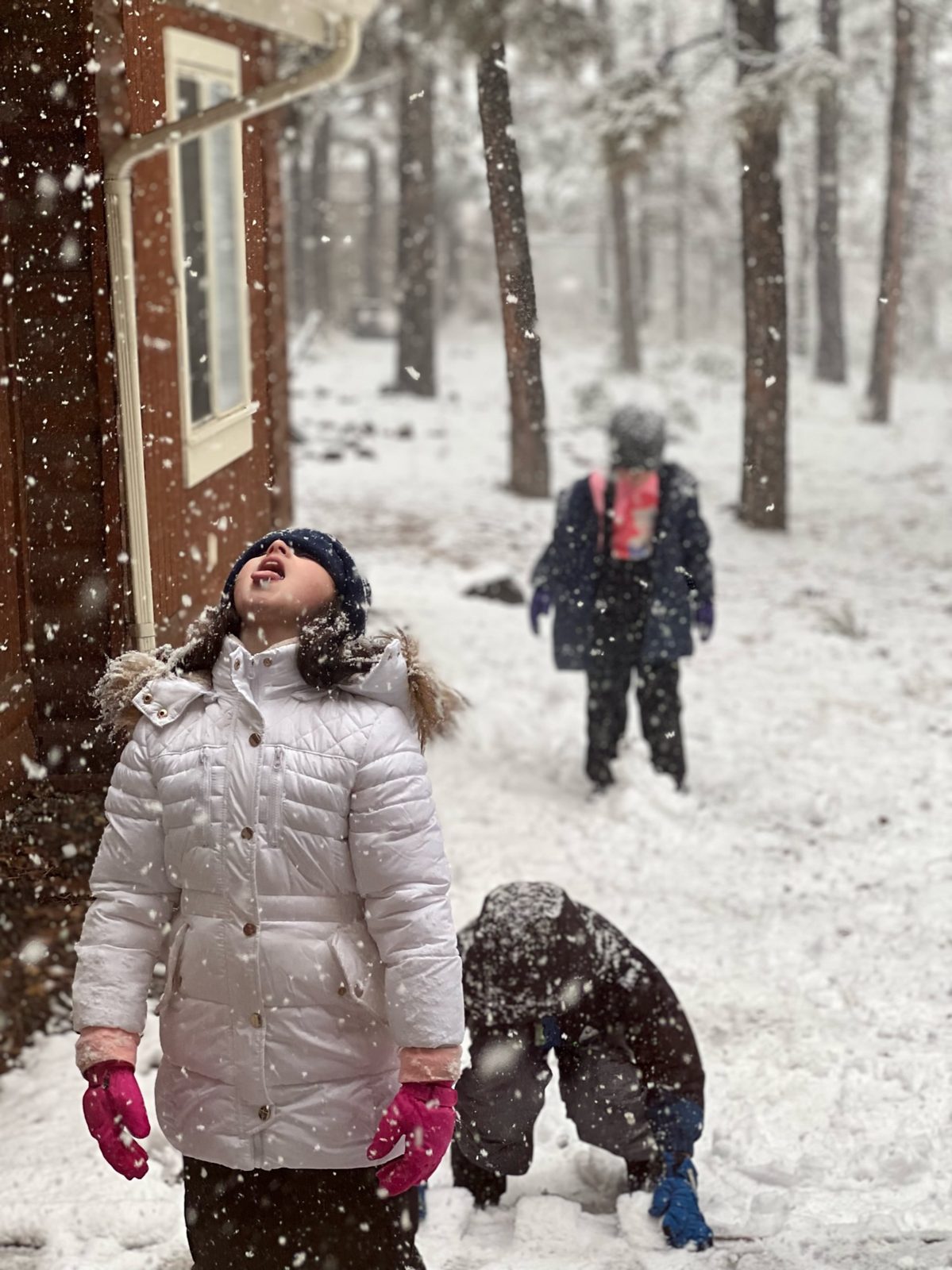 Kids playing in the snow at Parkway Lodge, Lakeside AZ